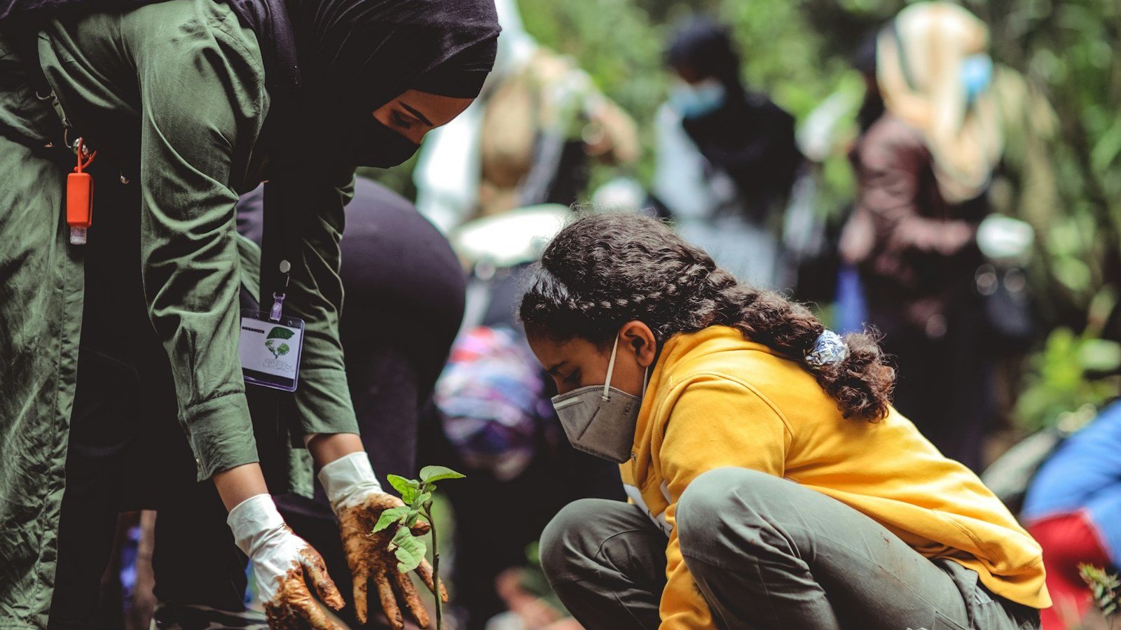 Una donna con guanti da lavoro e una ragazza in felpa gialla piantano una giovane piantina nel terreno, con altre persone al lavoro sullo sfondo del bosco