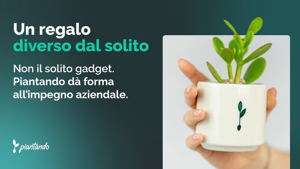 Grafica Piantando su fondo verde scuro con la scritta “Un regalo diverso dal solito. Non il solito gadget. Piantando dà forma all'impegno aziendale”, accanto a una mano che regge un vasetto bianco con una pianta grassa e il logo a foglia di Piantando