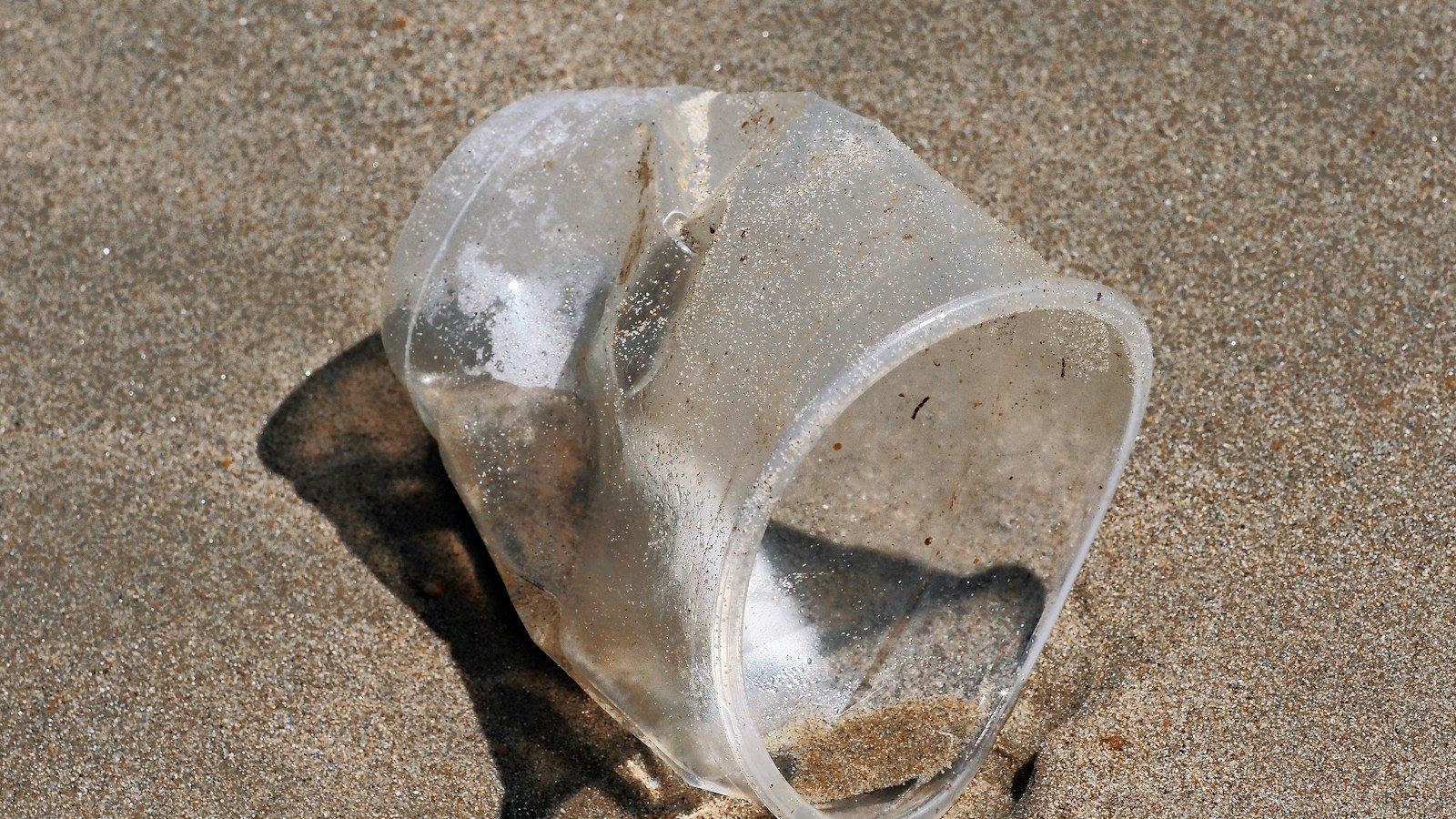 Bicchiere di plastica trasparente schiacciato e mezzo insabbiato su una spiaggia, illuminato dal sole