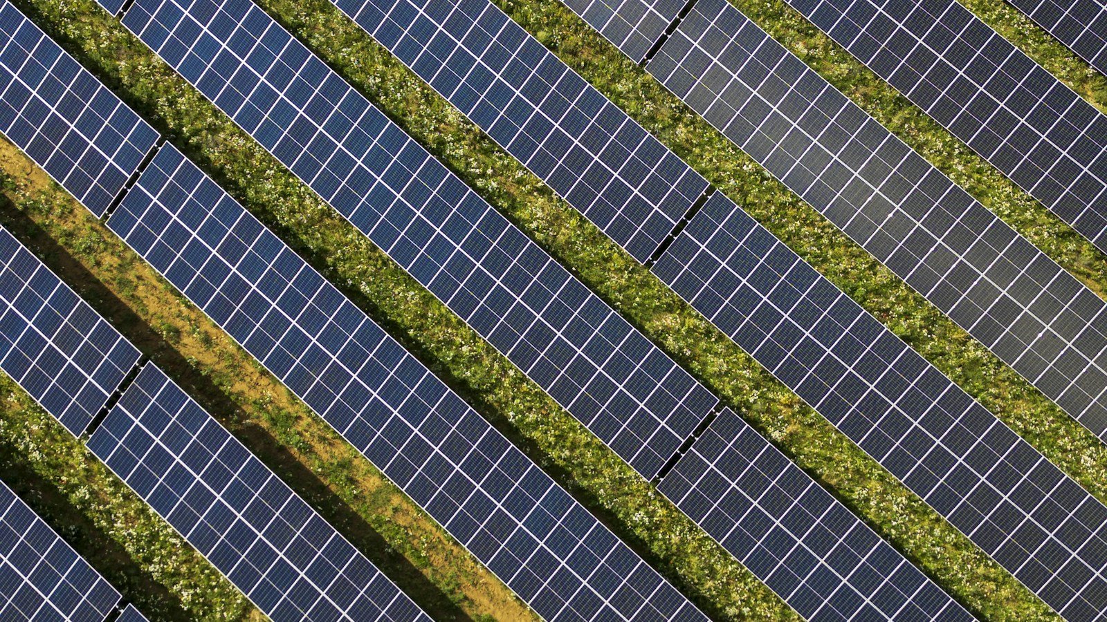 Vista dall'alto di file diagonali di pannelli solari separate da strisce di erba verde e fiori gialli