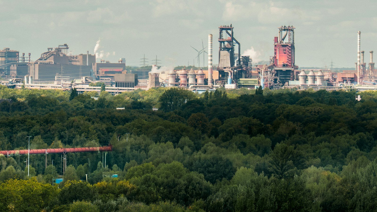 Bosco fitto in primo piano e, sullo sfondo, un grande complesso industriale con altiforni, ciminiere e fumo bianco