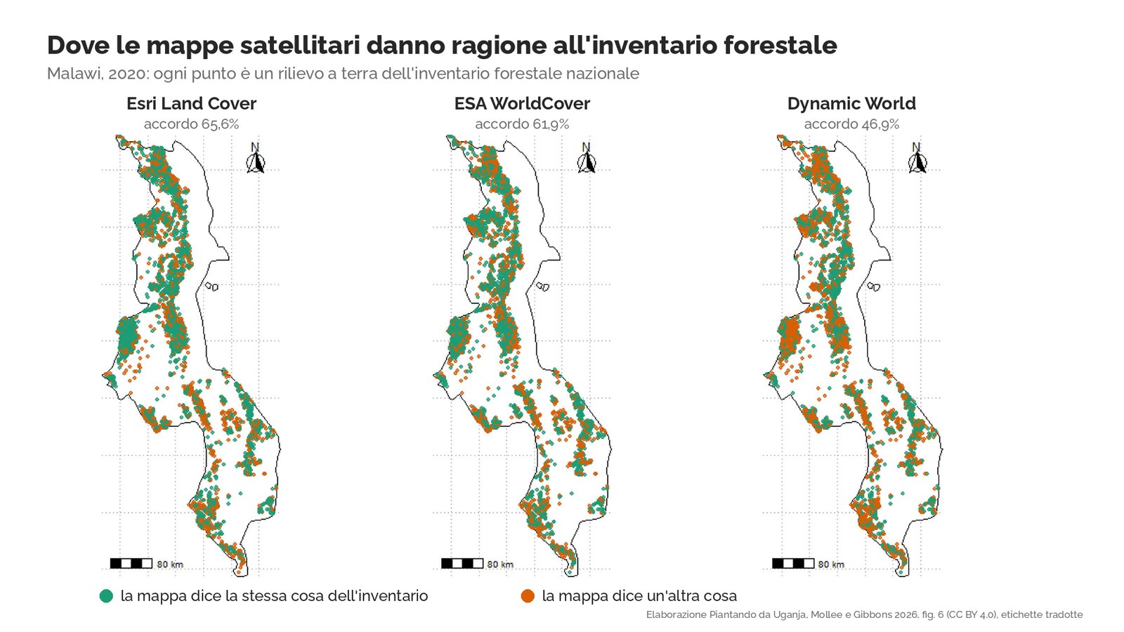 Tre mappe del Malawi affiancate, una per Esri Land Cover, ESA WorldCover e Dynamic World, con migliaia di punti dell'inventario forestale colorati in verde dove la mappa satellitare concorda con il rilievo a terra e in arancione dove no. Accordo 65,6% per Esri, 61,9% per ESA, 46,9% per Dynamic World.