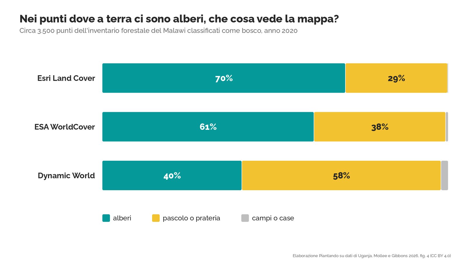 Grafico a barre orizzontali: nei circa 3.500 punti che a terra sono bosco, Esri Land Cover vede alberi nel 70% dei casi e pascolo o prateria nel 29%; ESA WorldCover alberi nel 61% e pascolo nel 38%; Dynamic World alberi nel 40% e pascolo nel 58%; il resto sono campi o case