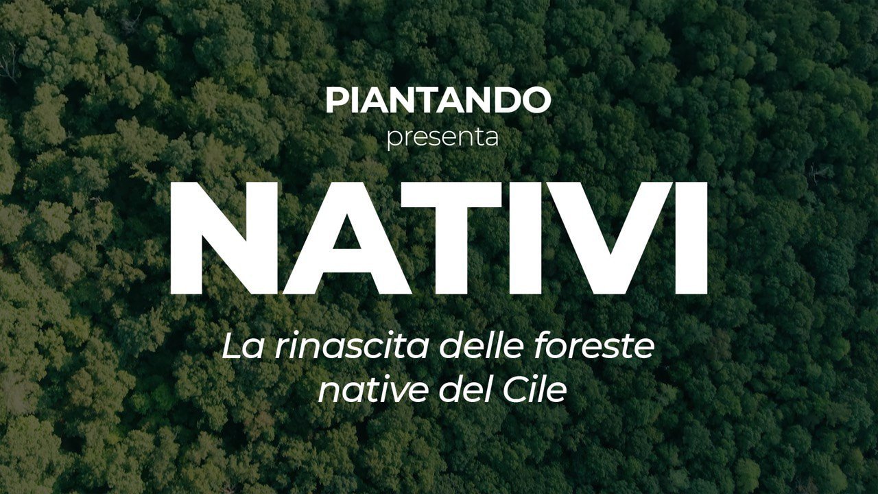 NATIVI: il Mini-Doc di Piantando