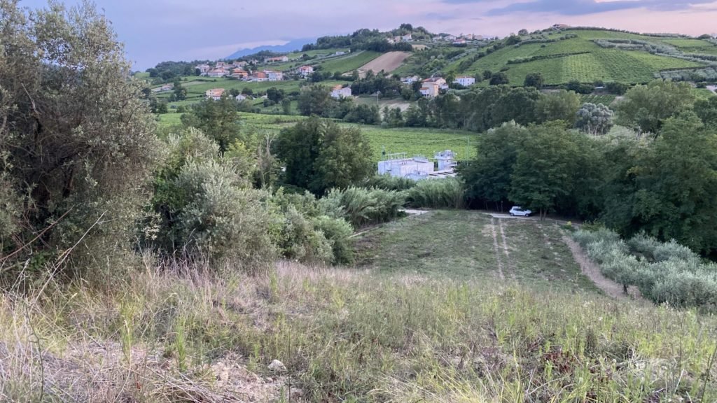Paesaggio collinare con bosco e campi coltivati