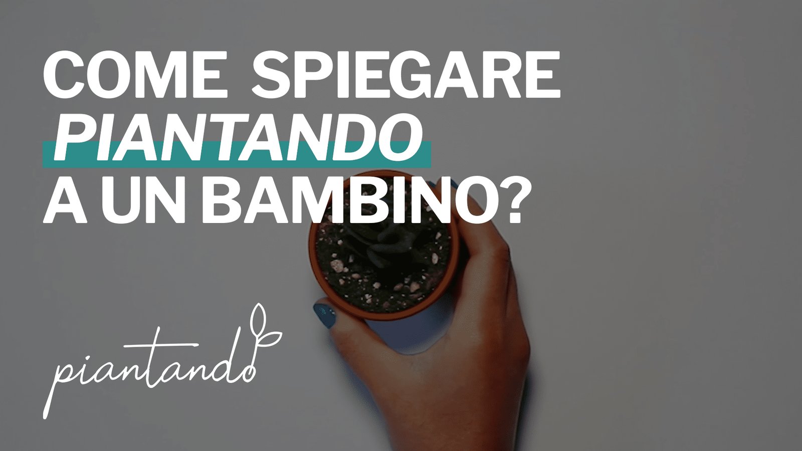 Piantando-Hand-Drawn