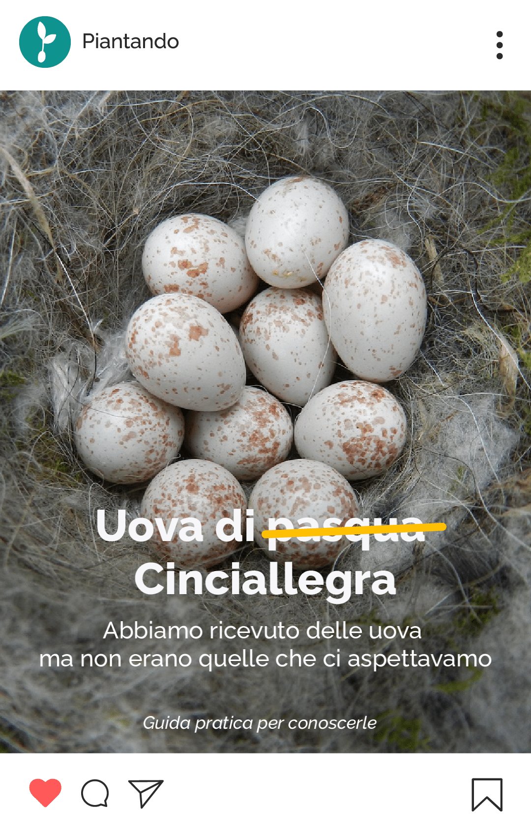 Post Instagram di Piantando sulle uova di cinciallegra