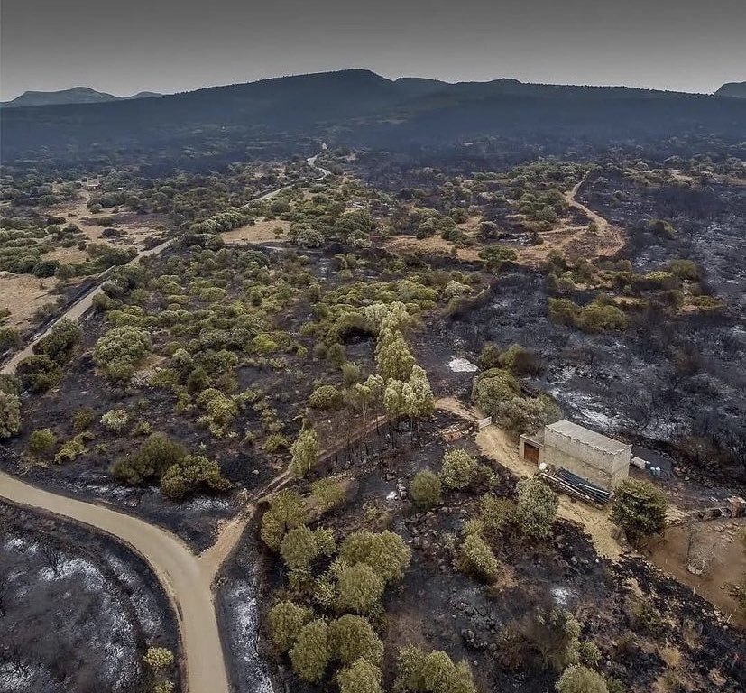 Veduta aerea di un'area bruciata in Sardegna