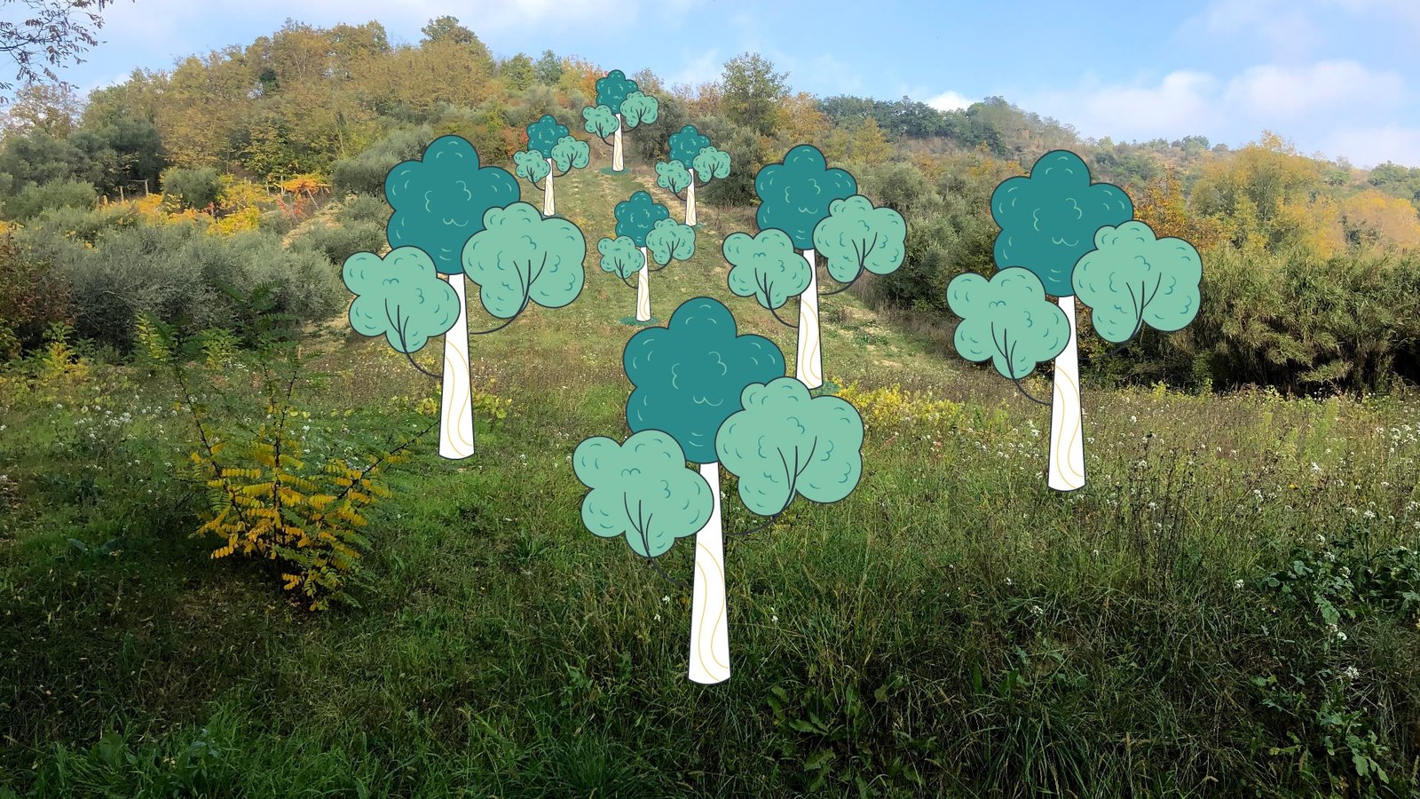 Un nuovo bosco sta per nascere