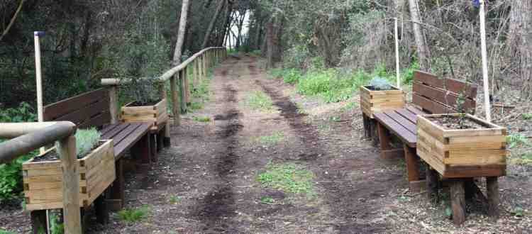 Sentiero di un parco urbano con panchine e fioriere