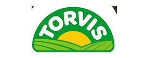 Logo Torvis