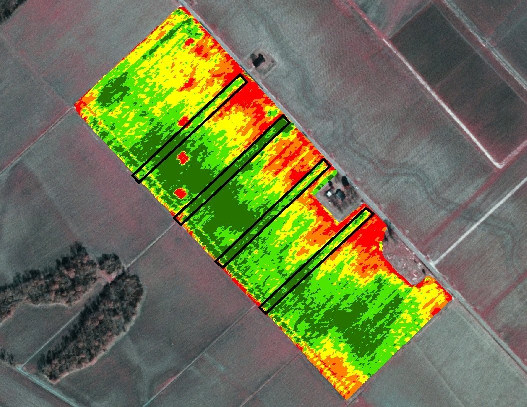 Mappa da drone dello stato vegetativo di un campo coltivato