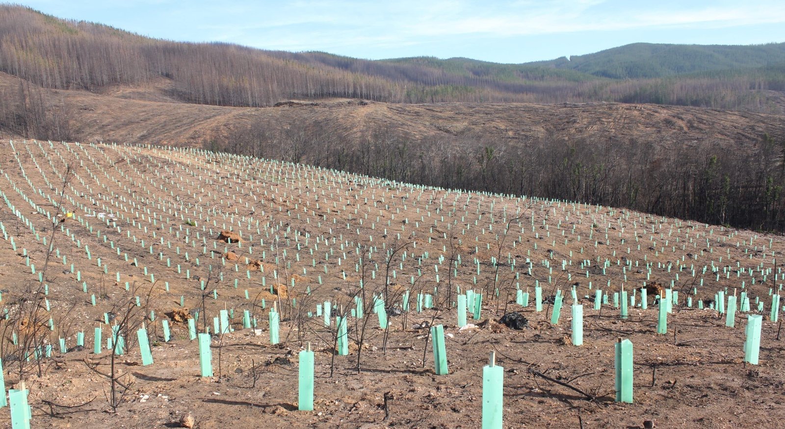 Le conseguenze della crisi climatica in Cile