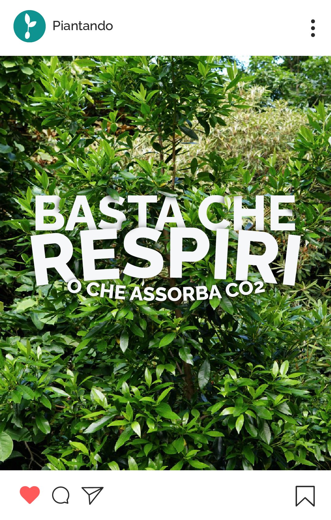 Post Instagram di Piantando sul ruolo delle piante nell'assorbire CO2