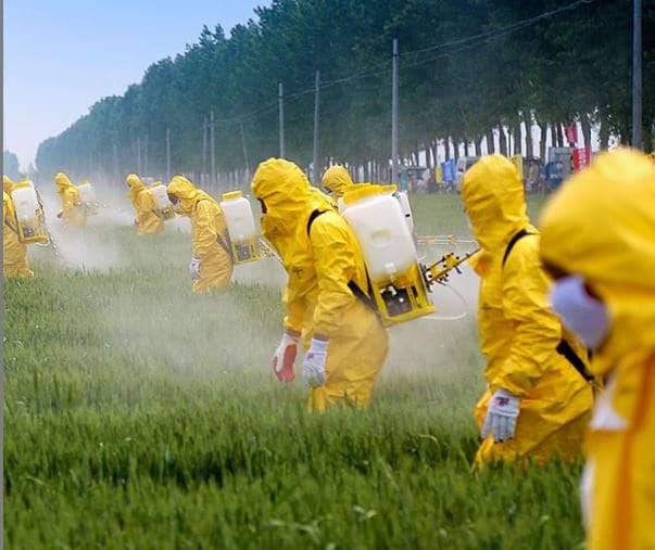 Operatori in tuta protettiva durante l'applicazione di agrofarmaci