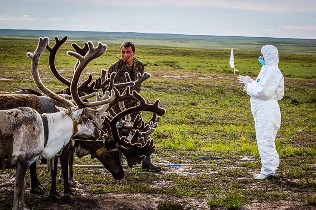 Allevatore di renne e operatore sanitario nella tundra siberiana