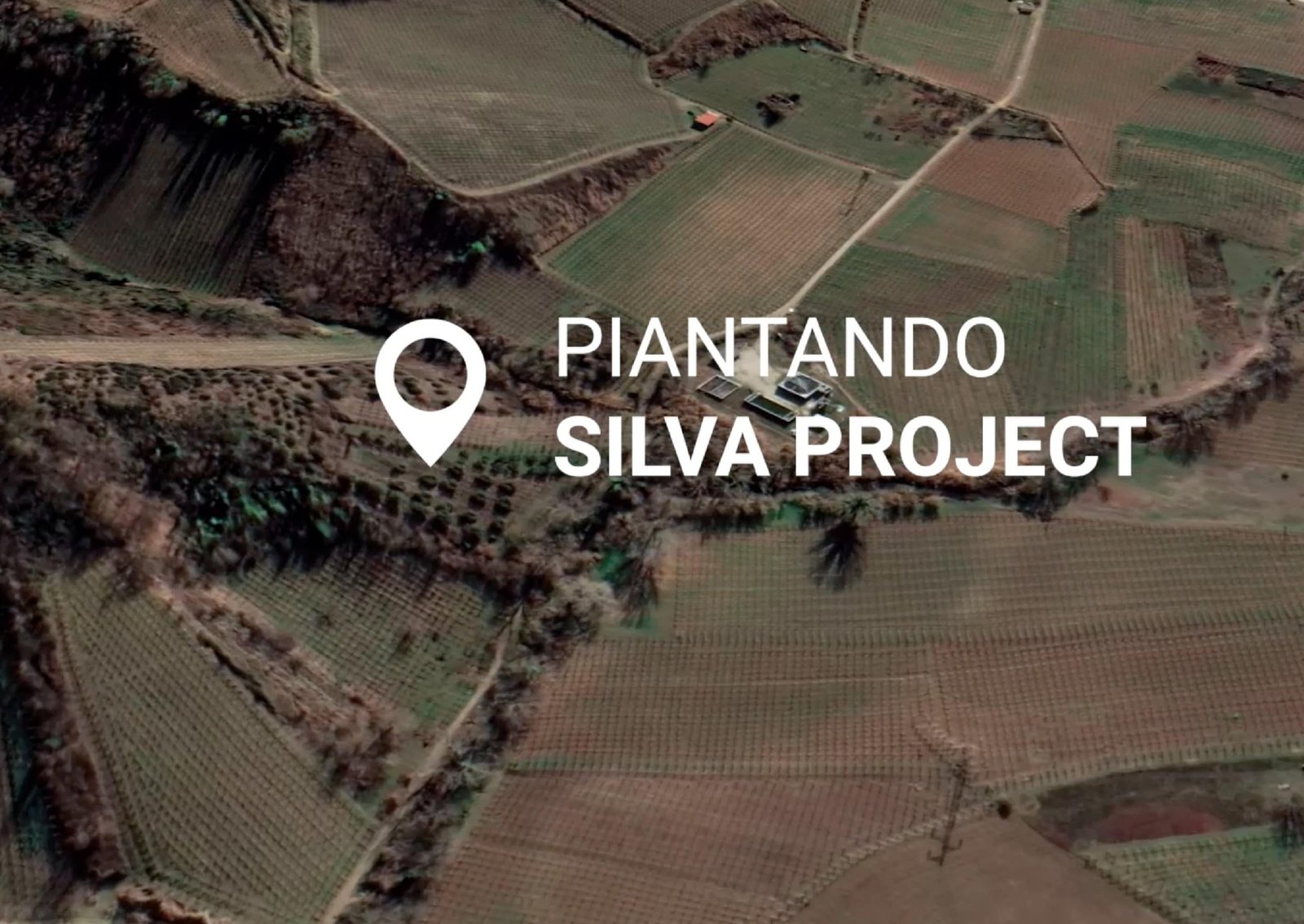 Vista satellitare dell'area del progetto Silva