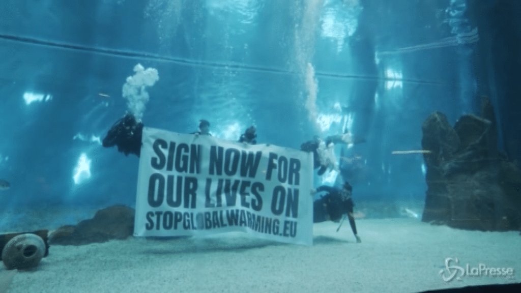 Subacqueo con il cartello della petizione Stop Global Warming