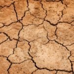 Terreno screpolato dalla siccità