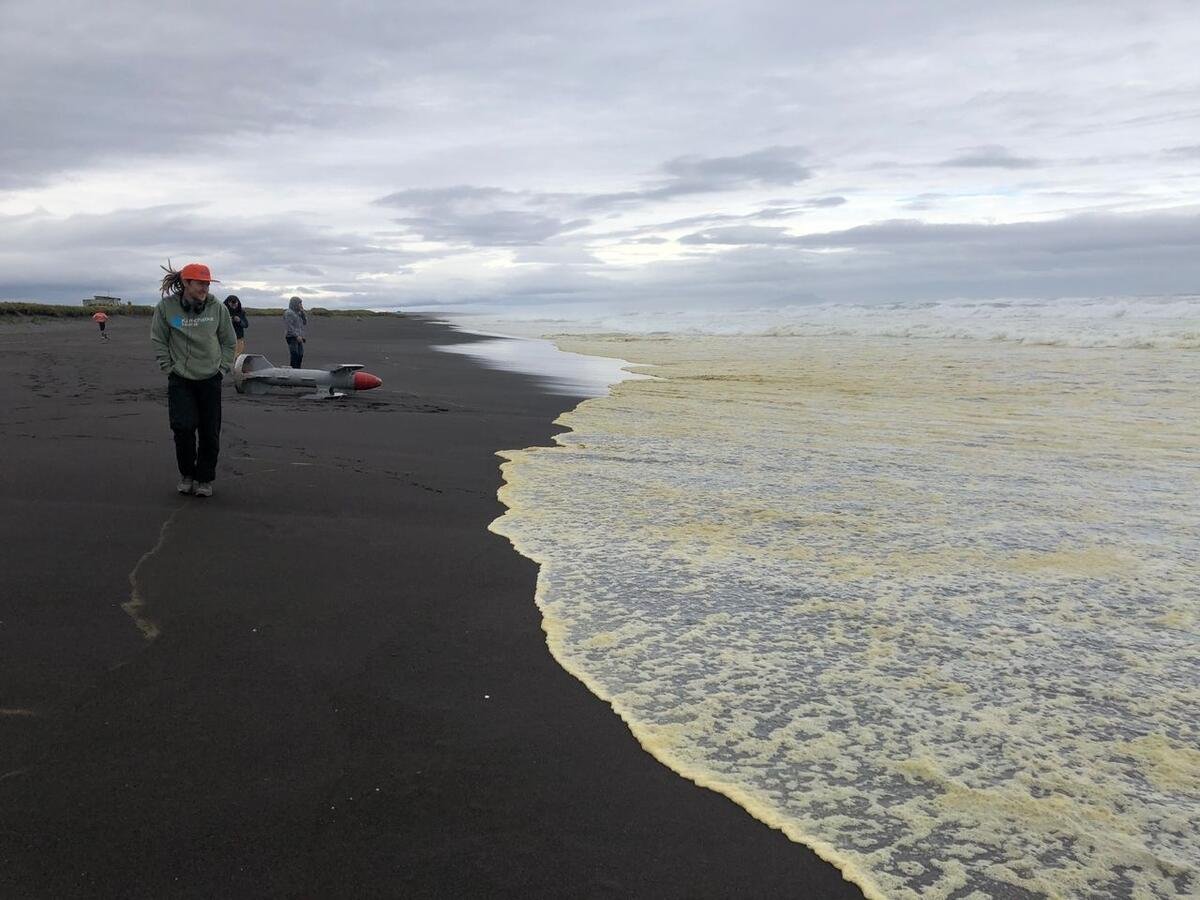 Spiaggia della Kamchatka con schiuma dopo l'inquinamento marino