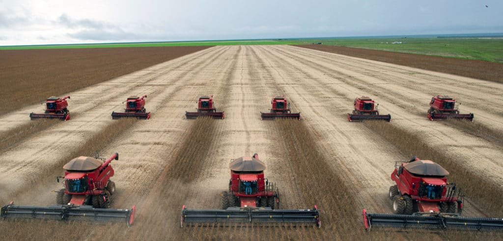 Mietitrebbie allineate durante la raccolta in un grande campo