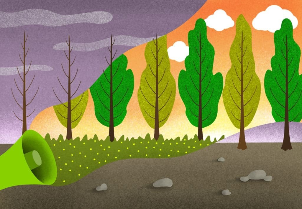 Illustrazione che contrappone un bosco secco e uno rigoglioso
