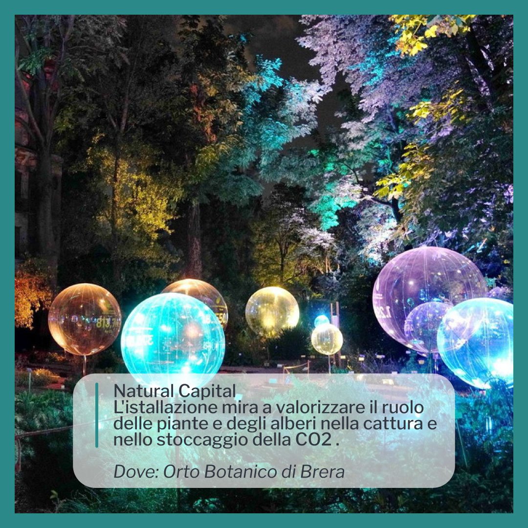 Installazione Natural Capital all'Orto Botanico di Brera